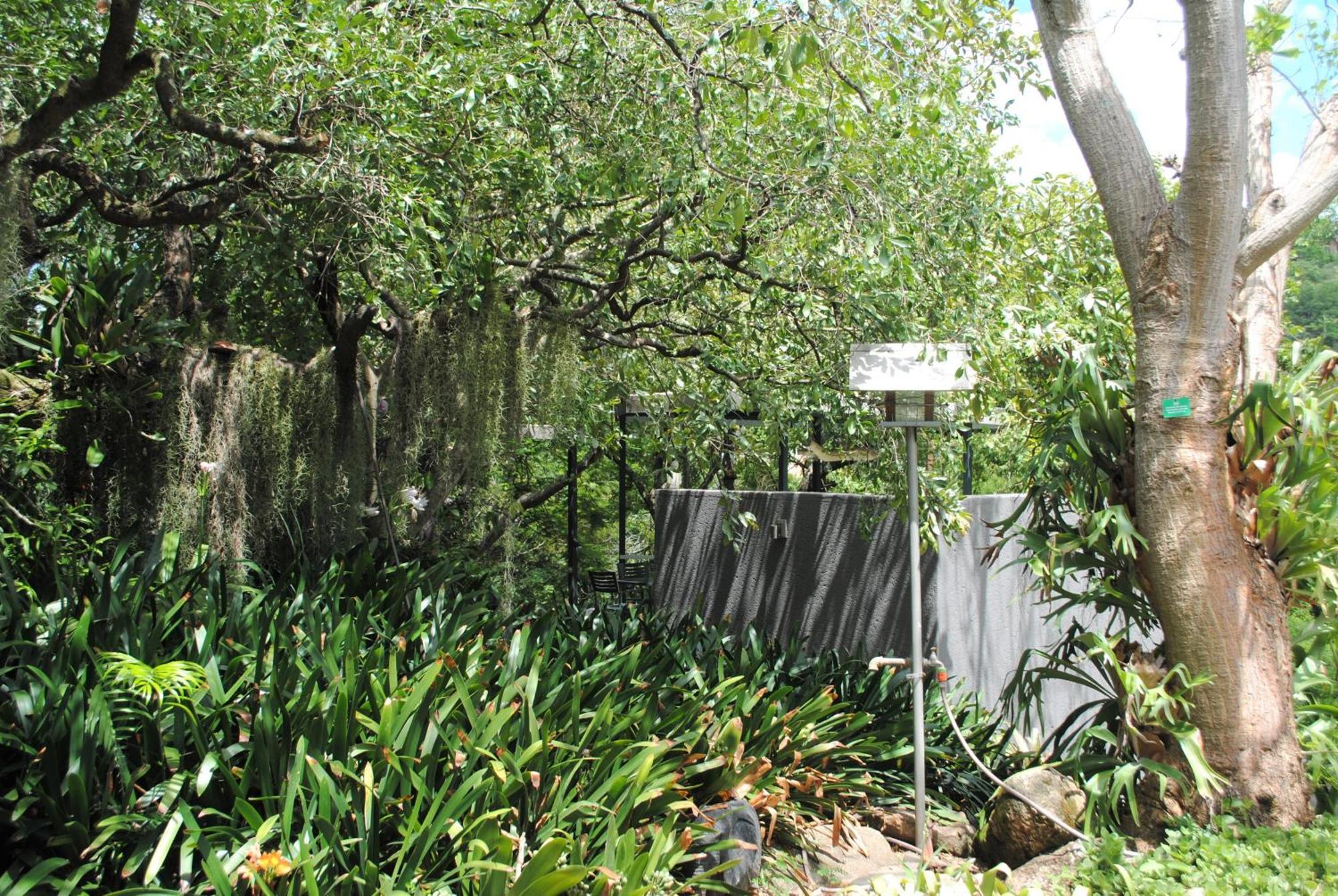 Birds Babble Self Catering Hotel Mbombela Екстериор снимка